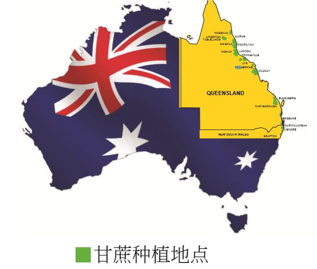 赐你一杯黑糖水，还你满满元气