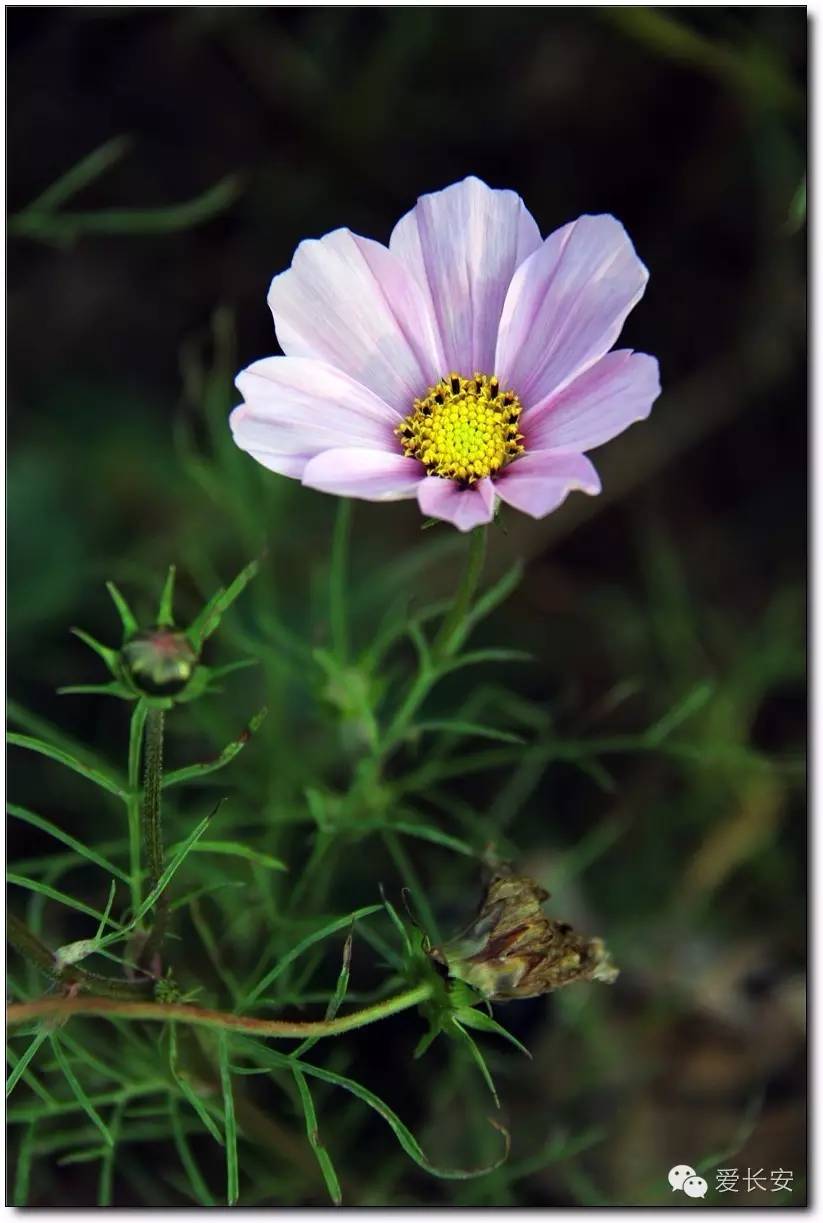 西宁南山秋景自驾游攻略一日游,旅游南山