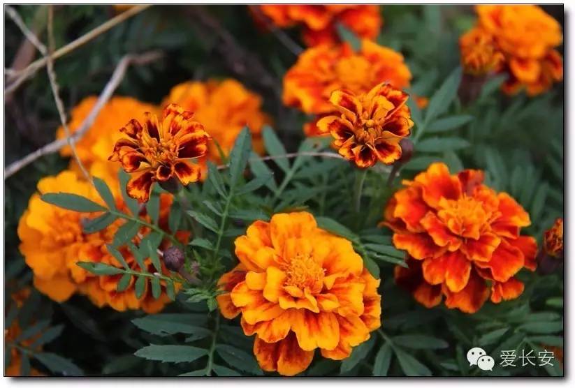 西宁南山秋景自驾游攻略一日游,旅游南山