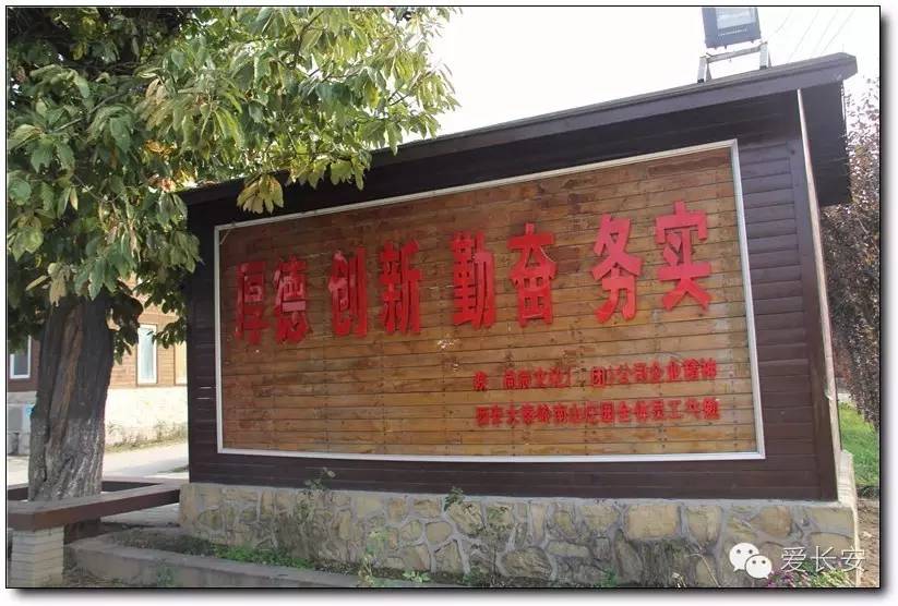 西宁南山秋景自驾游攻略一日游,旅游南山