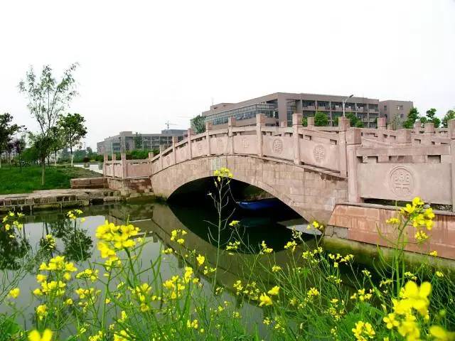 四川高校排名第一的专业,四川高校排名有哪些