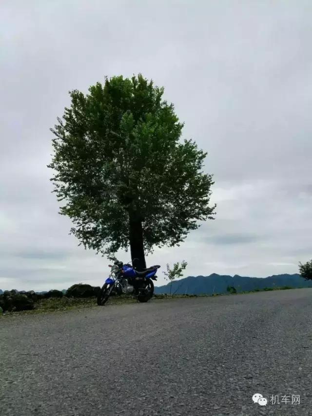 车友风采图片大全,车友的个人风采