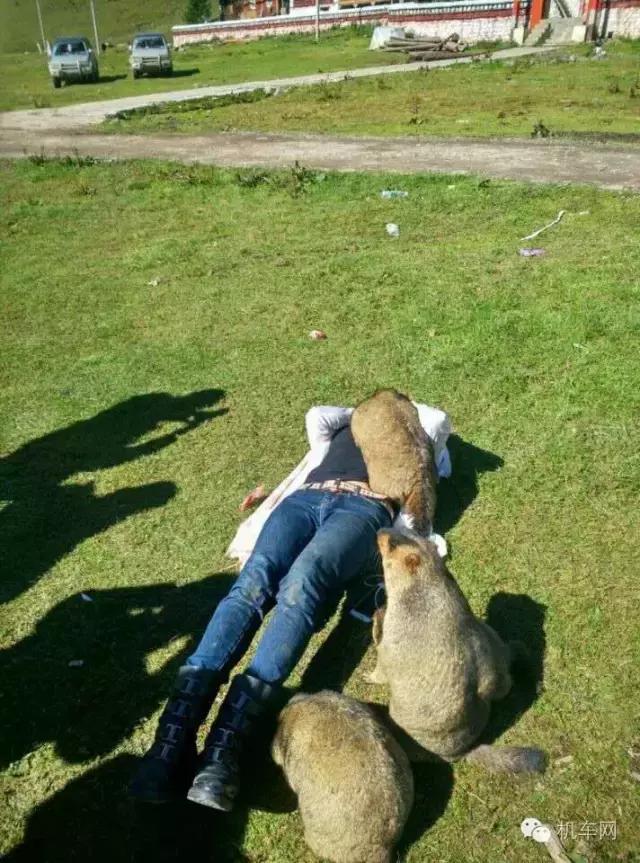 车友风采图片大全,车友的个人风采