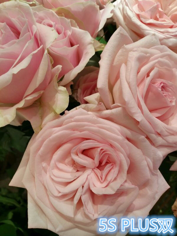 小米5s还值不值得入手,小米5s还值得入手么