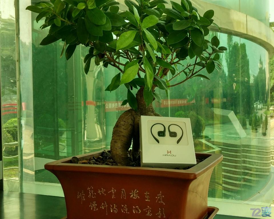 haylouw1真无线蓝牙耳机,haylou蓝牙耳机2022