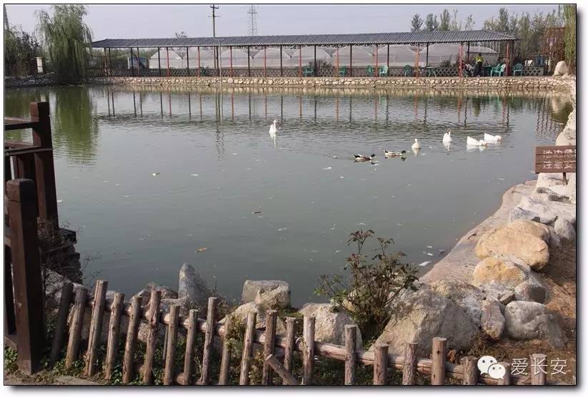 西宁南山秋景自驾游攻略一日游,旅游南山