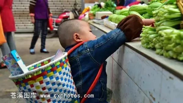 东溪古镇街景,苍溪县古镇全景图