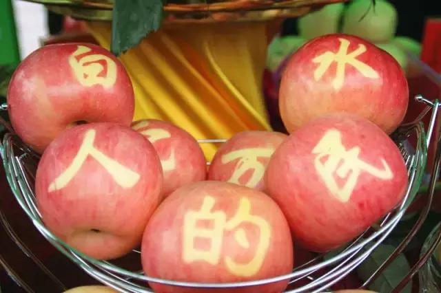 西安离白水有多少公里,白水县隔西安有多远呢