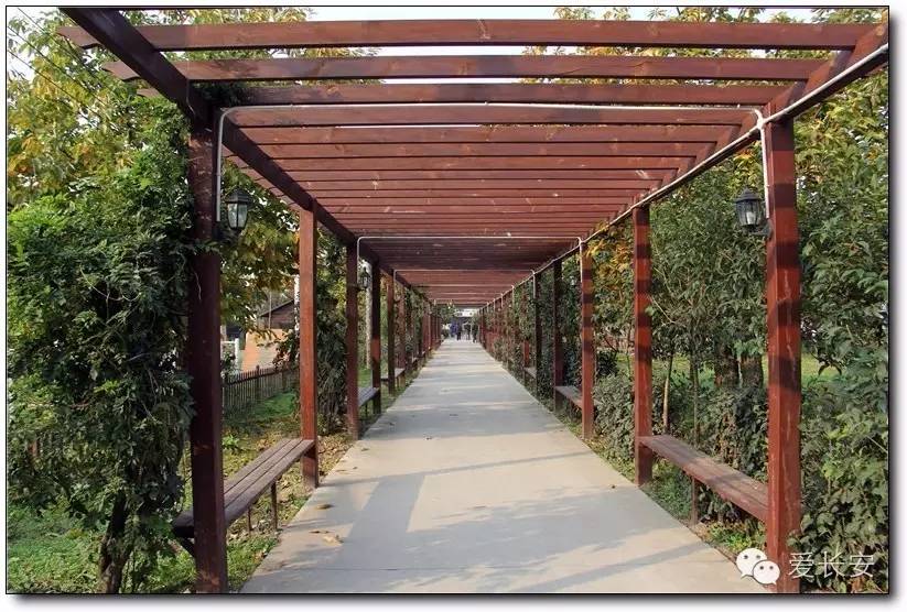 西宁南山秋景自驾游攻略一日游,旅游南山