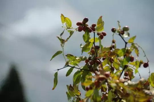 峄山最美风景区,初冬时节最美峄山