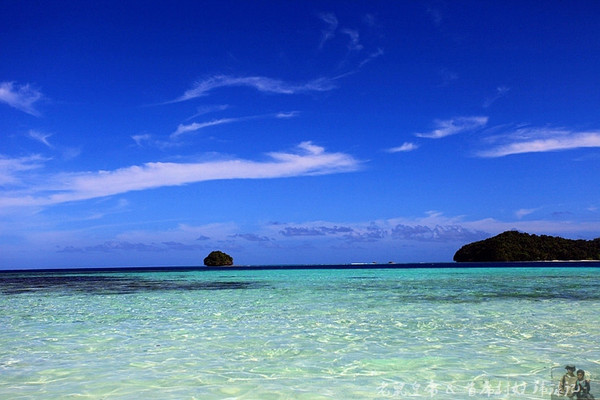 彩虹王国美术作品,彩虹王国紫色