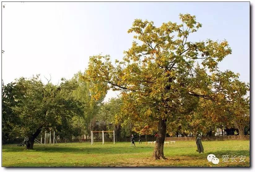 西宁南山秋景自驾游攻略一日游,旅游南山