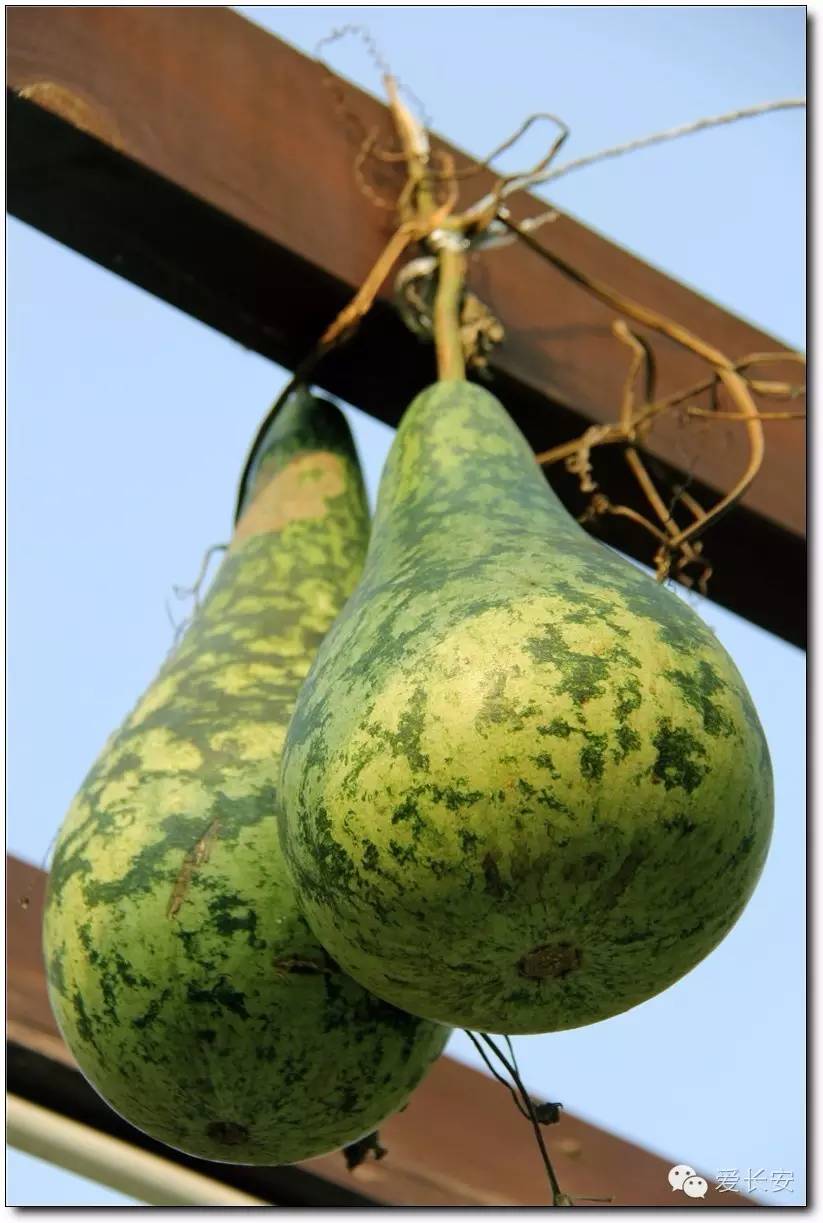 西宁南山秋景自驾游攻略一日游,旅游南山