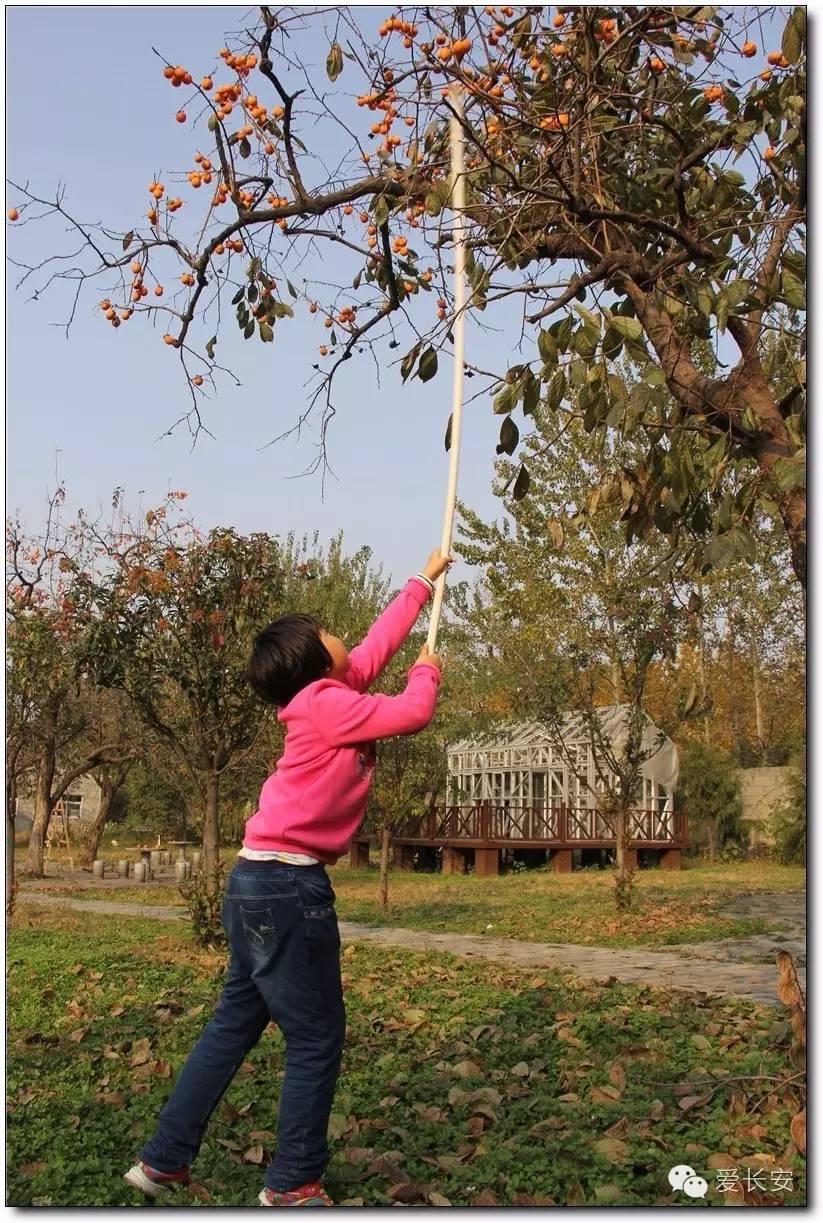 西宁南山秋景自驾游攻略一日游,旅游南山