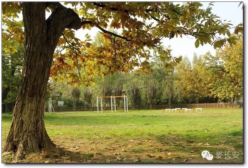 西宁南山秋景自驾游攻略一日游,旅游南山