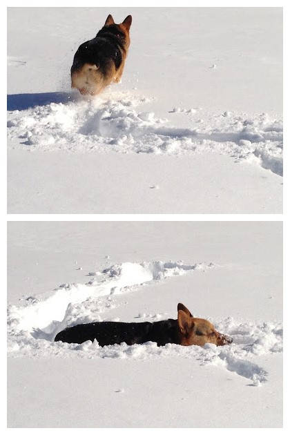 关于快递停运的最新通知,再过2天快递就停运了