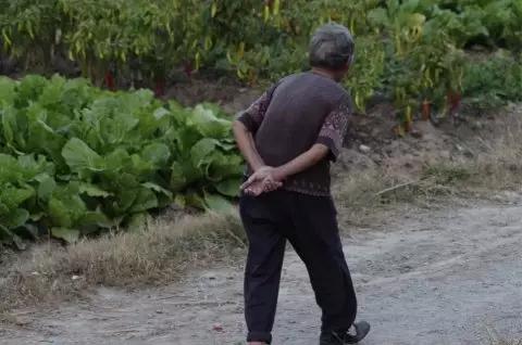 迪粉求助~老板欠薪，员工春节有家难回！大家赶紧转给欠薪老板