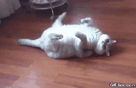 用最简单的图片说出最真实的道理,用简单的画面讲出最真实的道理