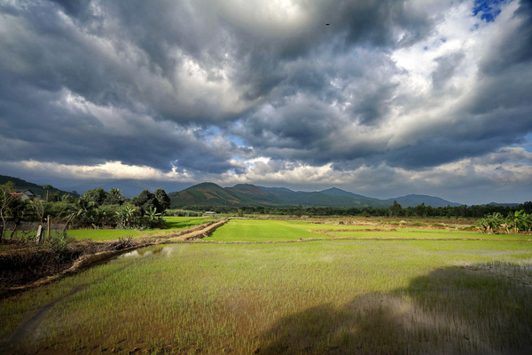 越南芽庄最美的有几个岛,越南芽庄最美的海滩