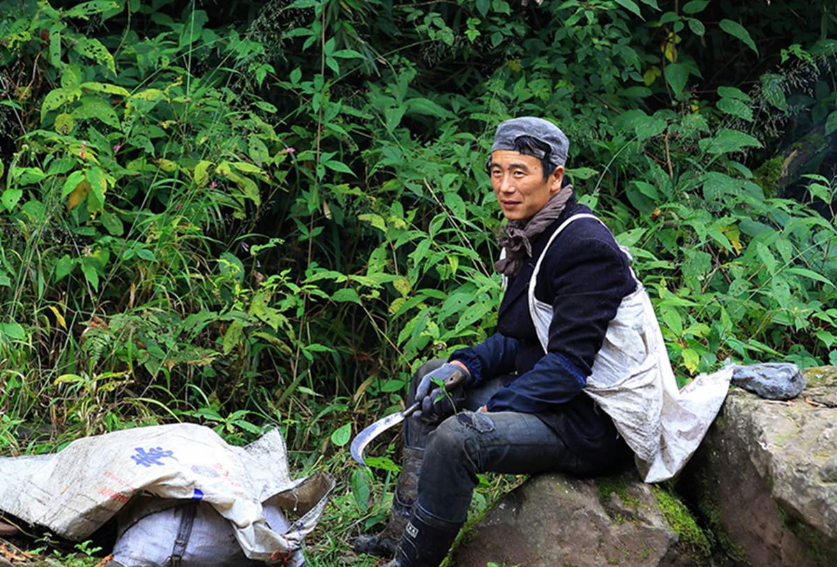 西部刀手，行走于中国道教神山四川洪雅瓦屋山，隐藏杀伐之气！
