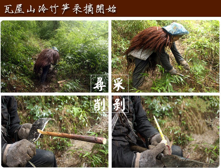 西部刀手，行走于中国道教神山四川洪雅瓦屋山，隐藏杀伐之气！