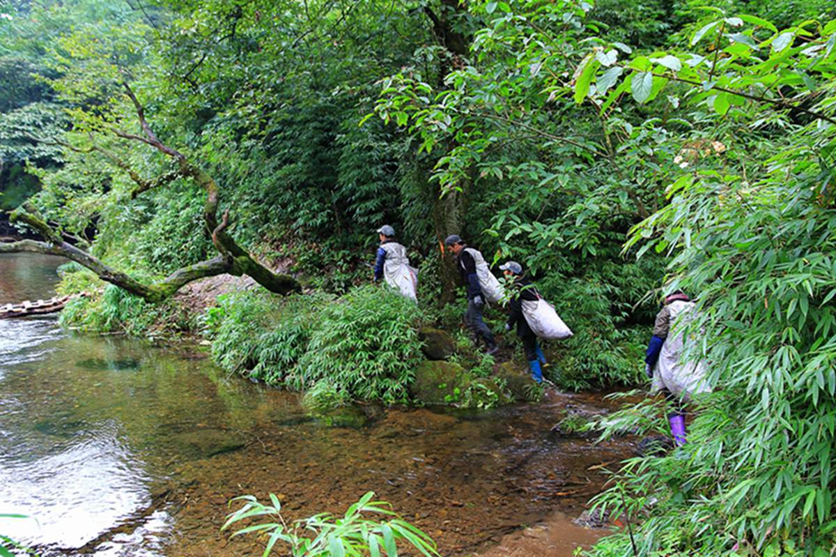 西部刀手，行走于中国道教神山四川洪雅瓦屋山，隐藏杀伐之气！