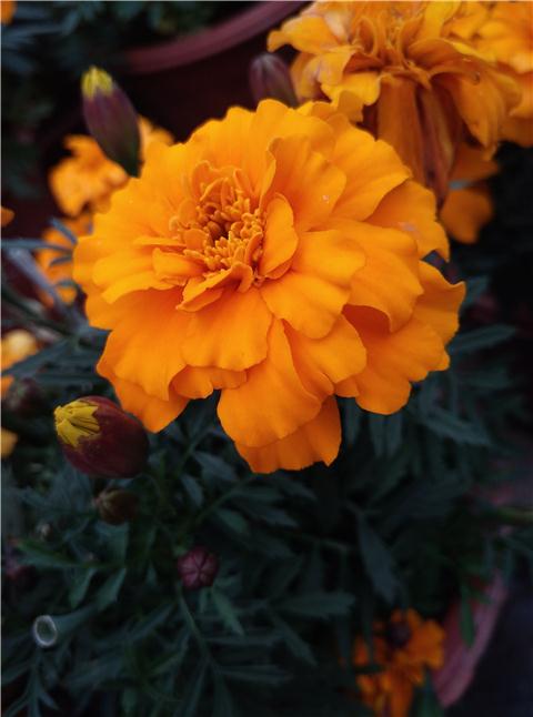 360极客版下载,360极客版所有版本