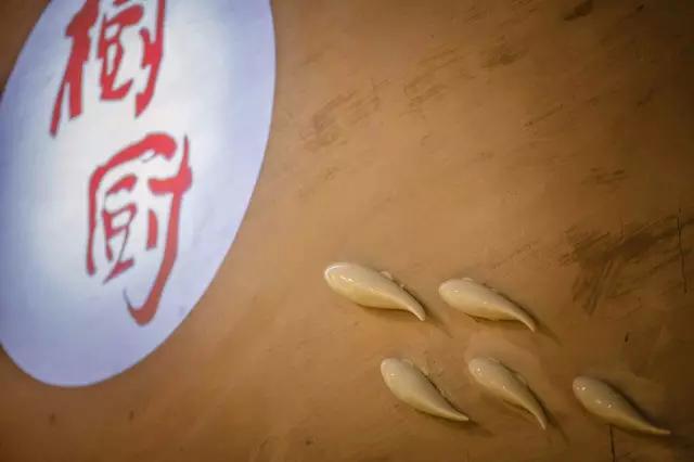 树和家的介绍,树和和美在一起了吗