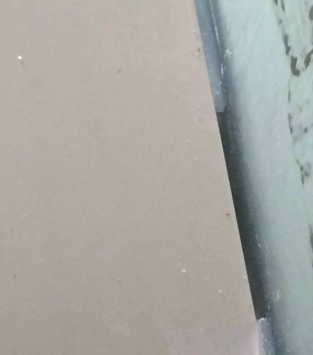 如何有一个好的鱼缸,给自己一个完美的空间