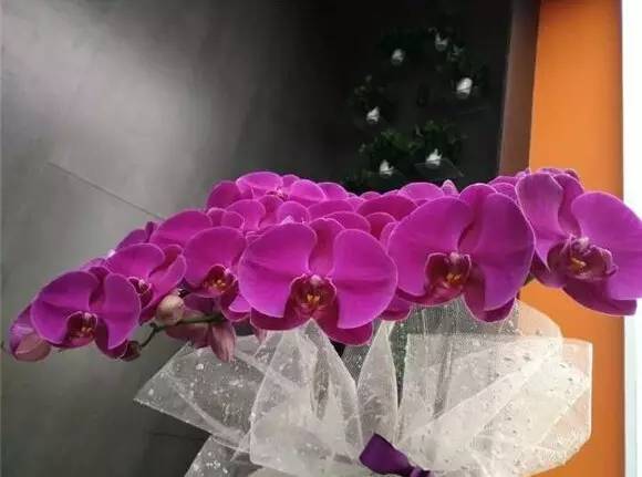 小米5s超声波指纹怎么设置,小米5s测试