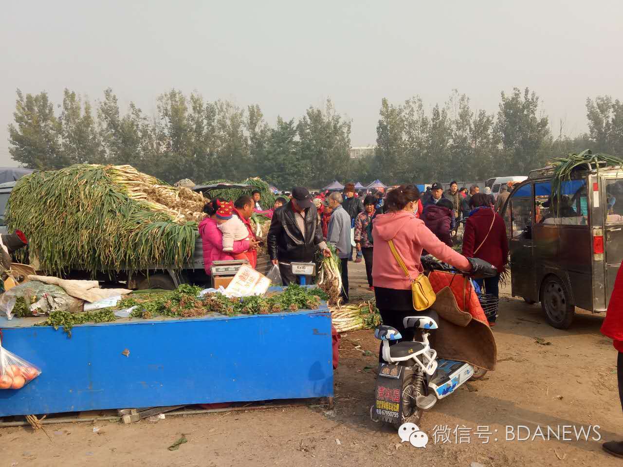 市场冬储菜,冬储菜热销