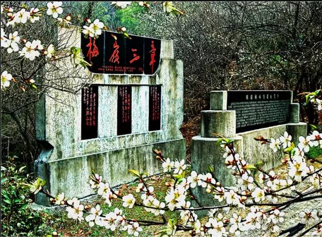 赣州市美景,赣州景致