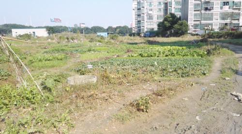 嵩明县海宇花园二手房,海宇花园