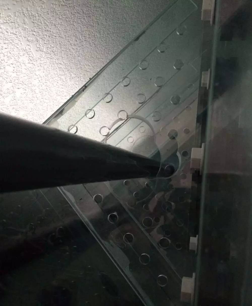 如何有一个好的鱼缸,给自己一个完美的空间