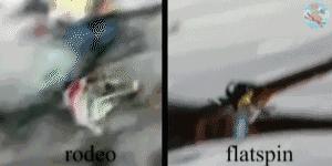 羊驼带你看懂双板Slopestyle（下）