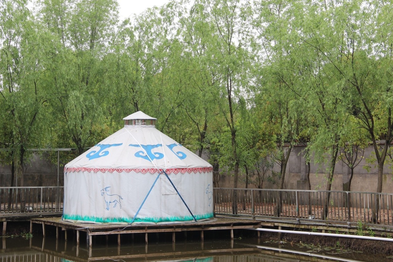 上海民宿100元左右,上海浦东民宿2个人100元以内