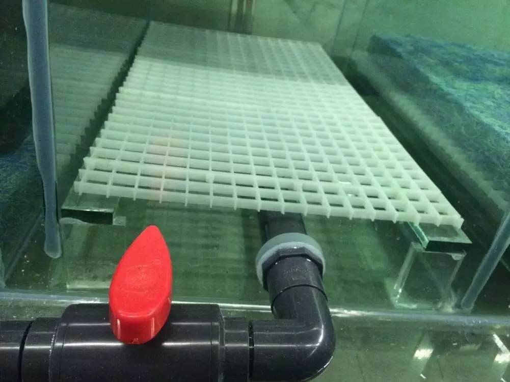 如何有一个好的鱼缸,给自己一个完美的空间