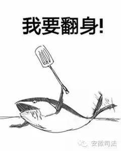 矫正故事“一夜暴富”梦碎后，看农村小伙如何谷底翻身？