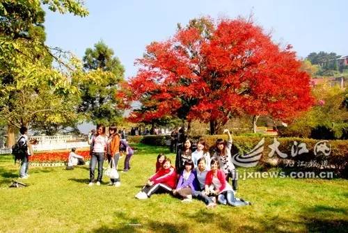 围观“枫”和日丽~来江西赏这一抹红