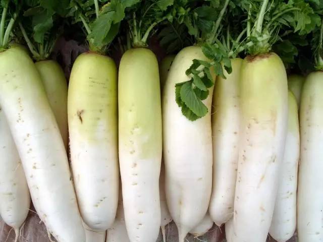 身边20种天然药，你都知道吗？