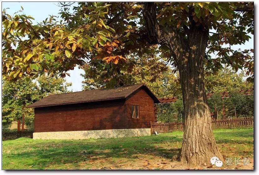 西宁南山秋景自驾游攻略一日游,旅游南山