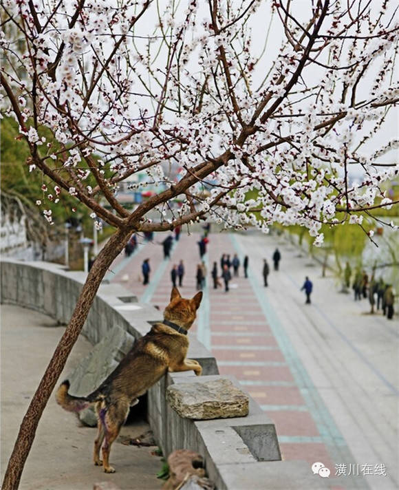 潢川有没有值得去的,潢川到底好不好