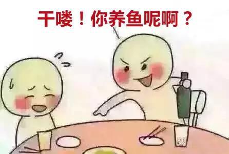 酒后快速清醒,酒后如何快速醒酒驾车