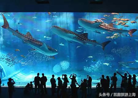 去冲绳有什么讲求,第一次去冲绳有什么好处