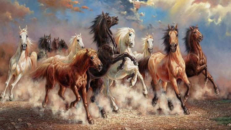 日本的马油,日本哪款纯马油好