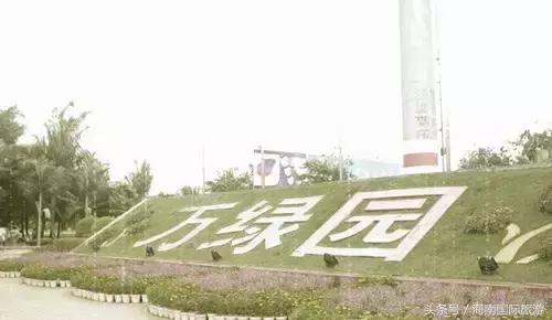 那些年我们一起走过的路,那些年我们一起遛过的狗