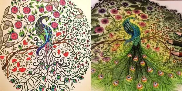 凭本264字成人图书却“莫名其妙”风靡了全球！狂销300万册