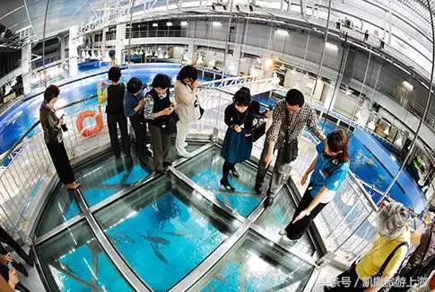 去冲绳有什么讲求,第一次去冲绳有什么好处