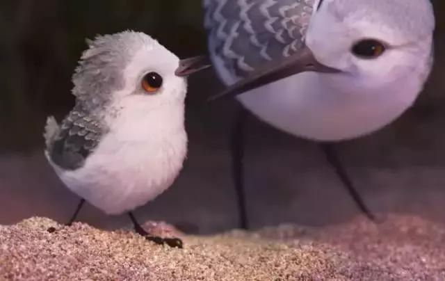 鸟是好鸟就是话多这幅图表达什么,鸟是好鸟是什么梗