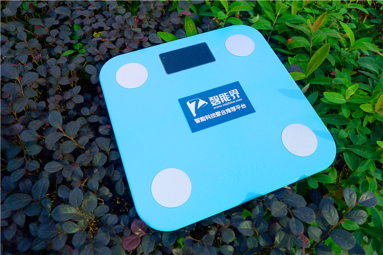 怎么让体重秤显示自己轻一点,怎么样才能让体重秤轻一点